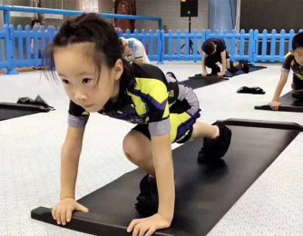 Speed Skating Balance Power Roller Skating Ice Hockey Training Board